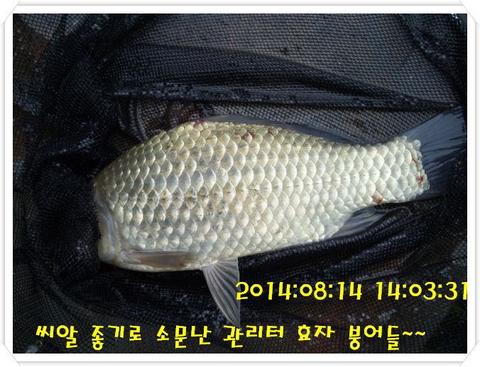 �ٹ̱�_DSC02970.JPG