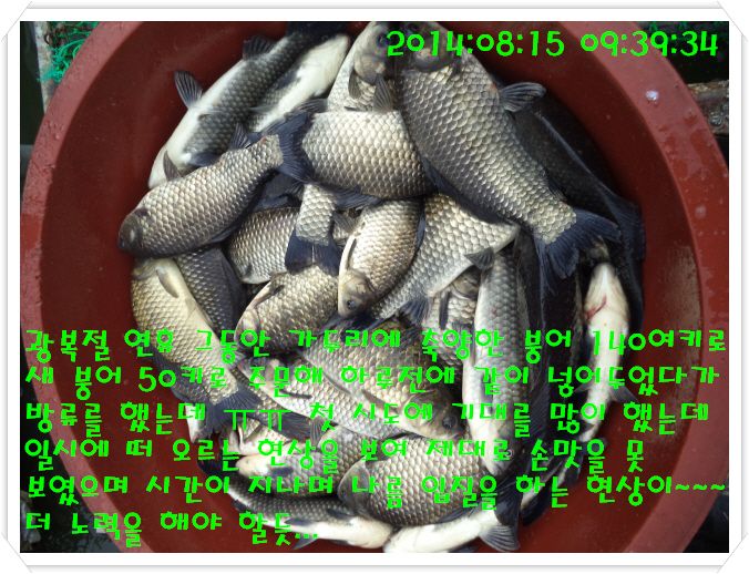 �ٹ̱�_DSC02973.JPG