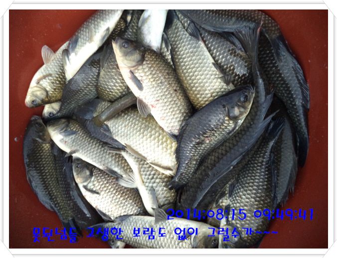 �ٹ̱�_DSC02977.JPG