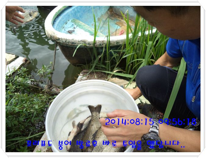 �ٹ̱�_DSC02978.JPG