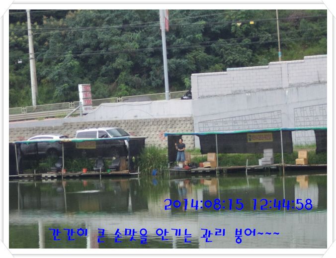 �ٹ̱�_DSC02985.JPG