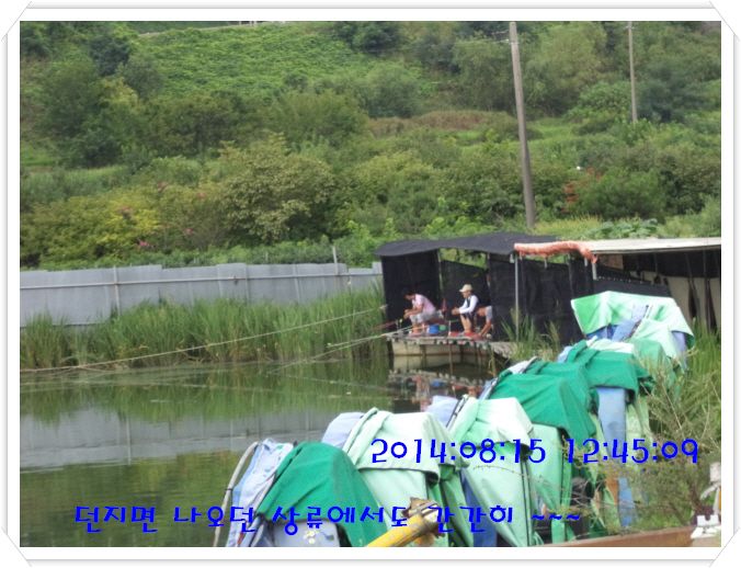 �ٹ̱�_DSC02986.JPG
