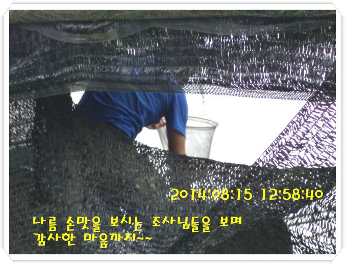 �ٹ̱�_DSC02989.JPG