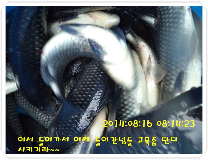 �ٹ̱�_DSC02997.JPG