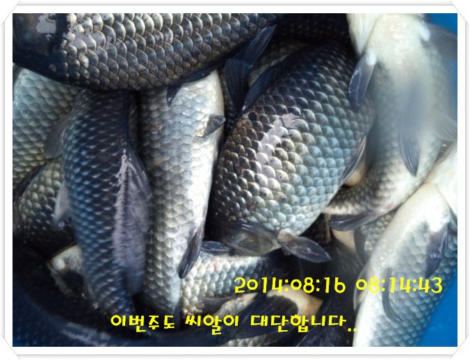 �ٹ̱�_DSC02998.JPG