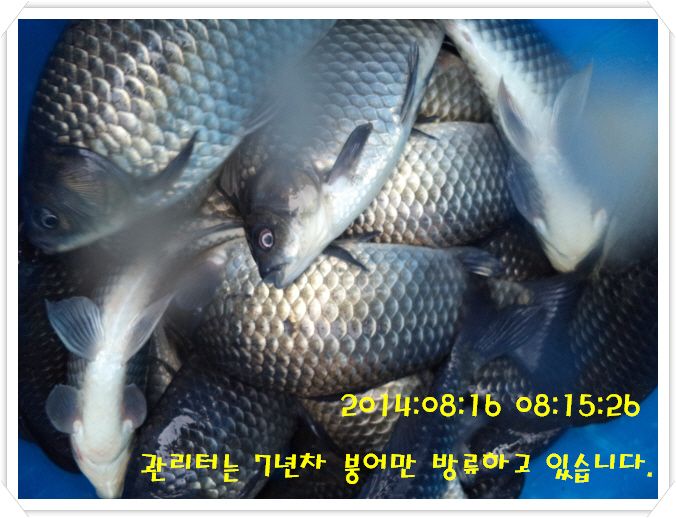 �ٹ̱�_DSC03000.JPG