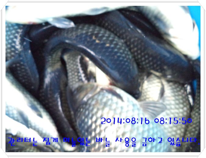 �ٹ̱�_DSC03001.JPG