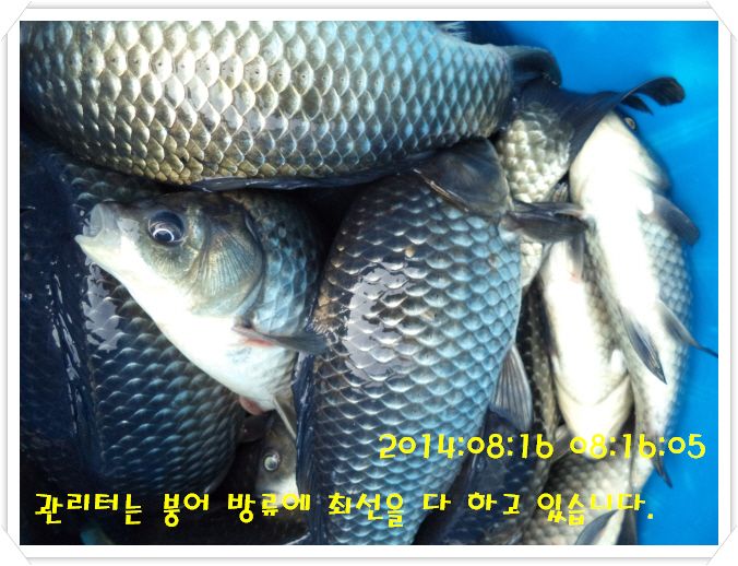 �ٹ̱�_DSC03002.JPG