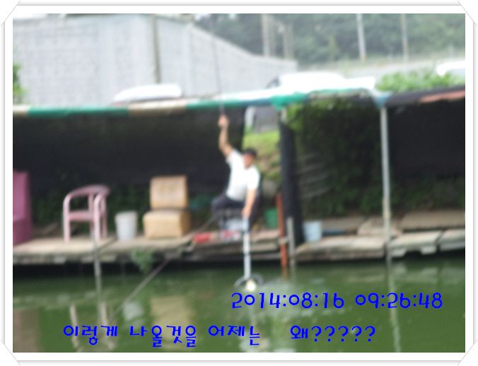 �ٹ̱�_DSC03010.JPG