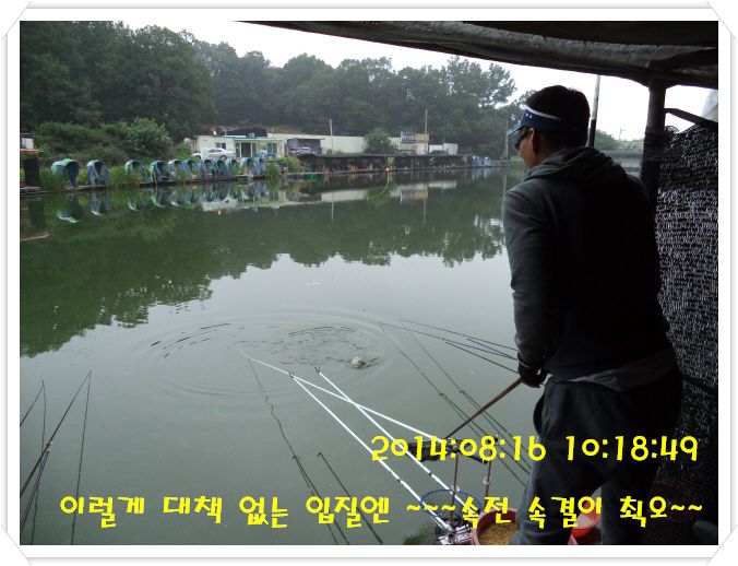 �ٹ̱�_DSC03019.JPG