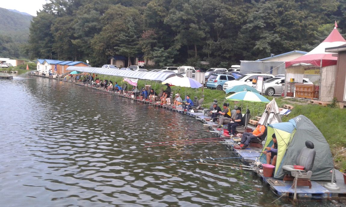 ���� 1103.jpg