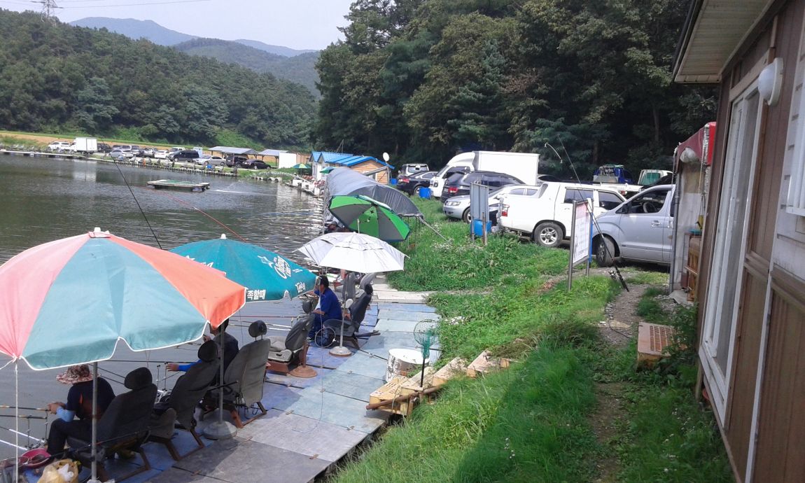 ���� 1106.jpg