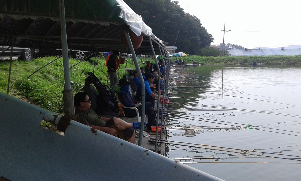 ���� 1107.jpg