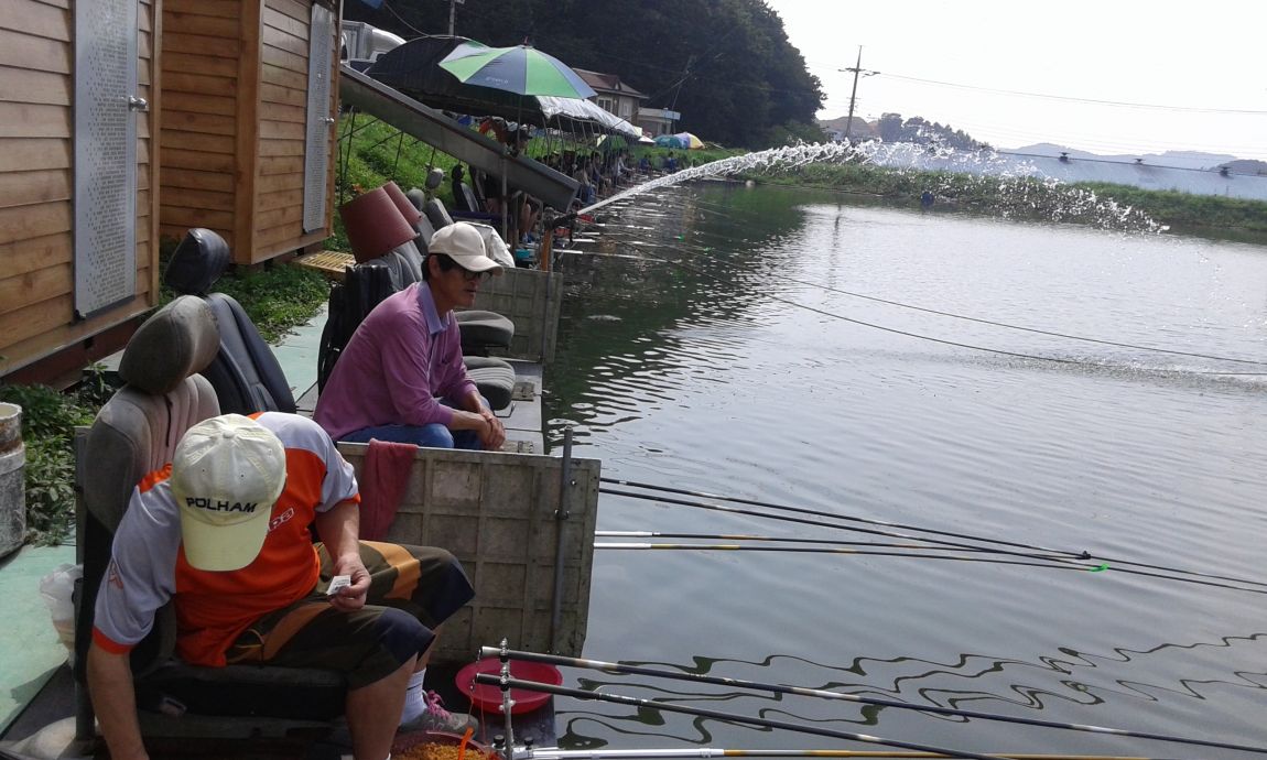 ���� 1108.jpg