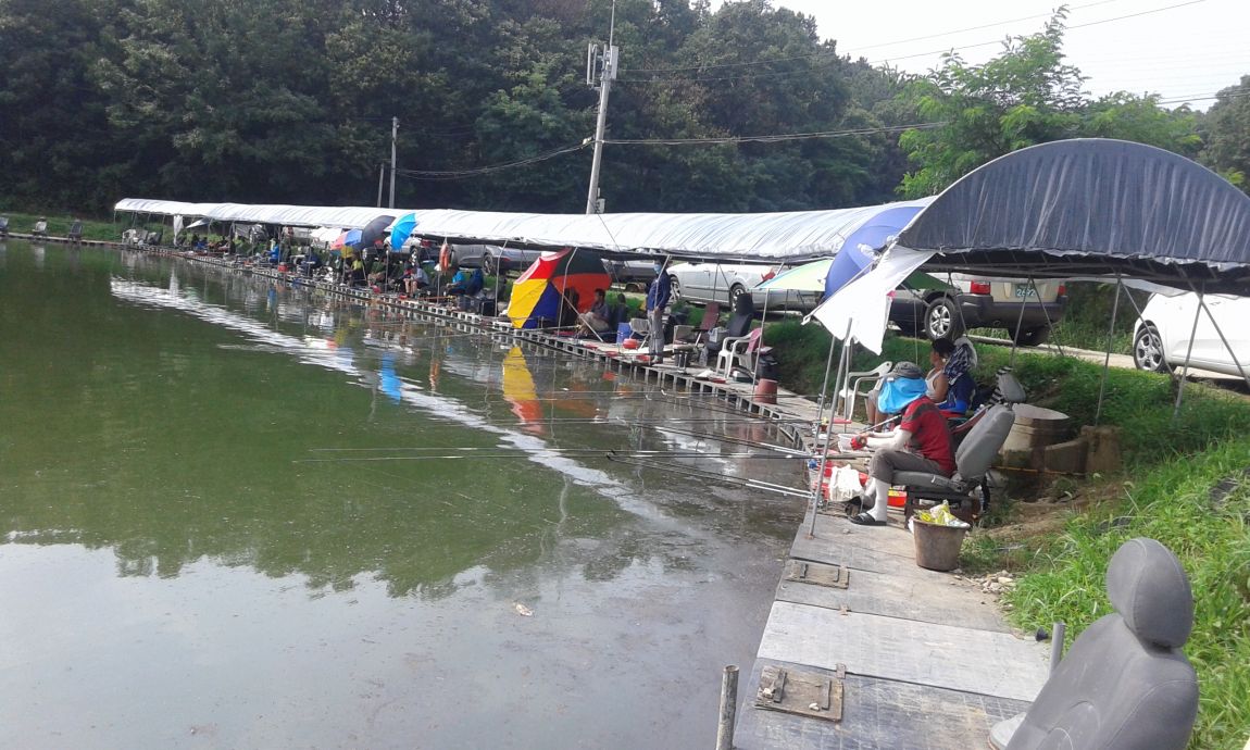 ���� 1109.jpg