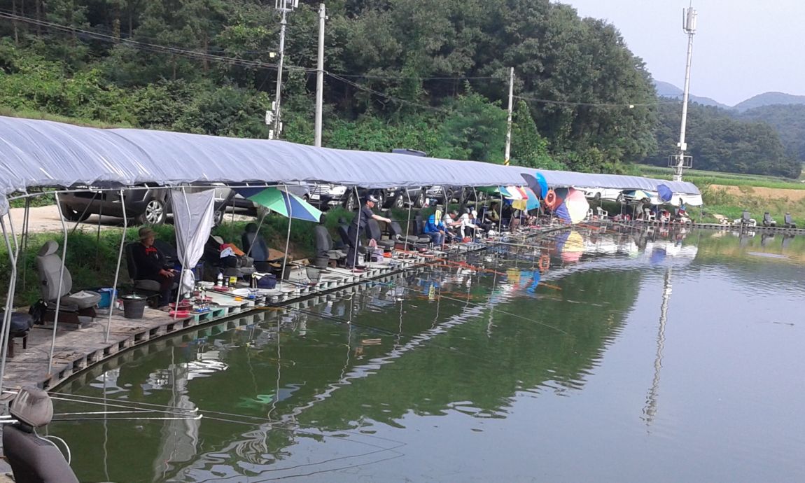 ���� 1110.jpg