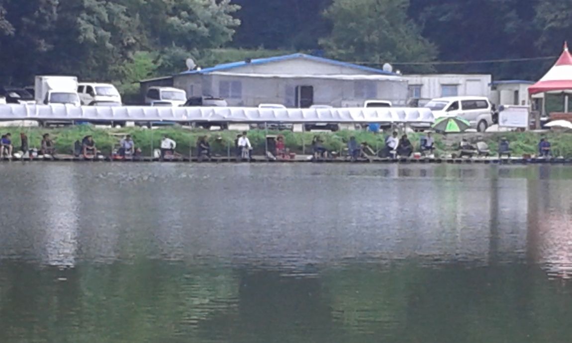 ���� 1111.jpg