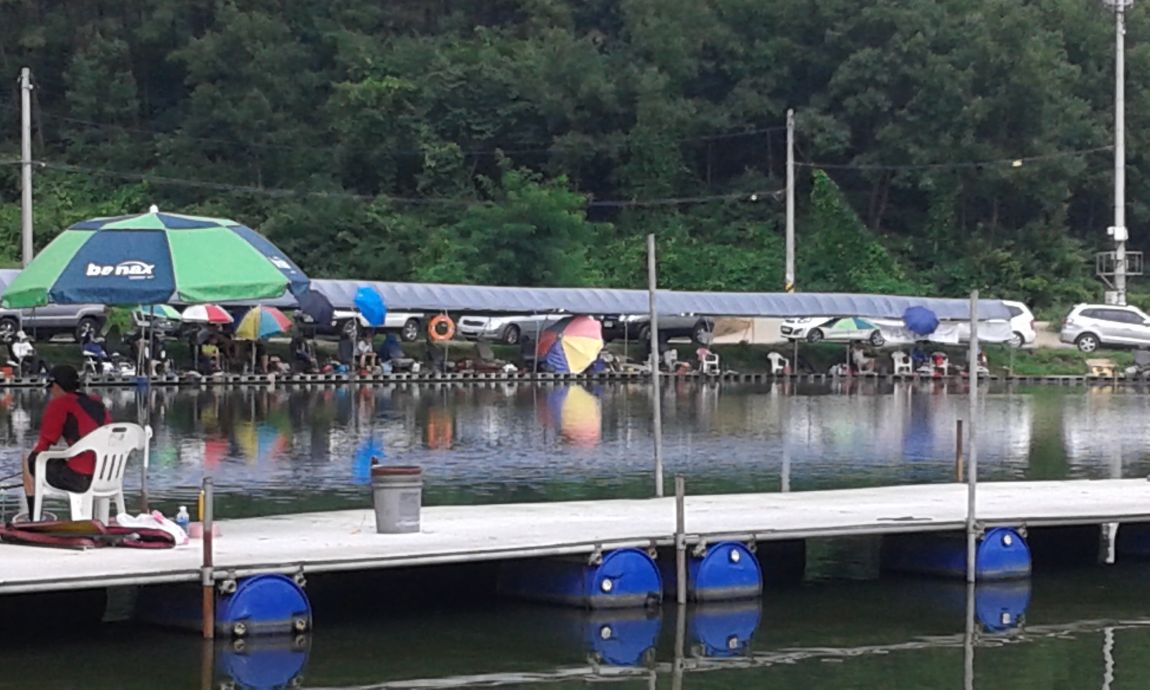 ���� 1113.jpg