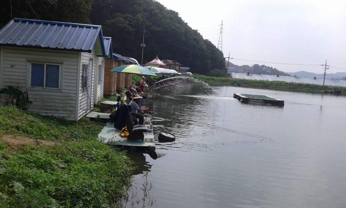 ���� 1114.jpg