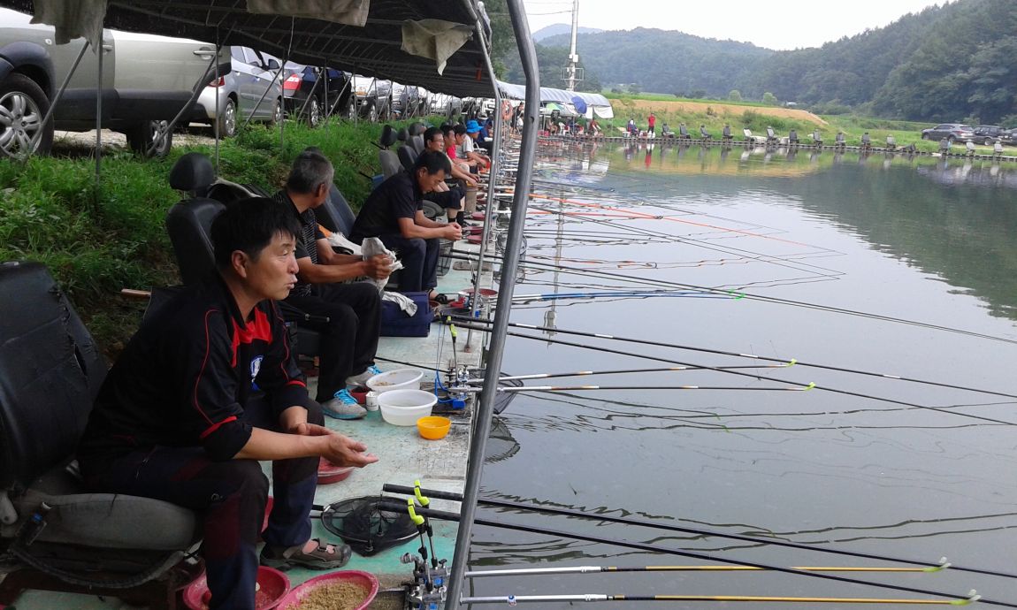 ���� 1115.jpg