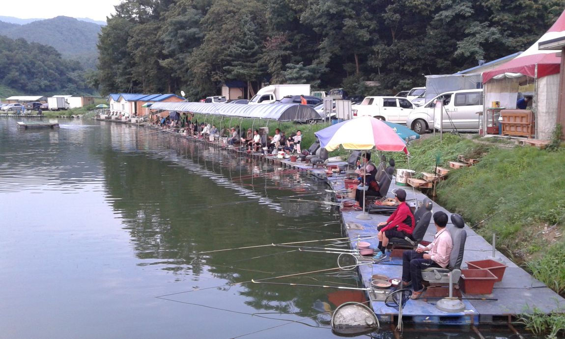 ���� 1117.jpg