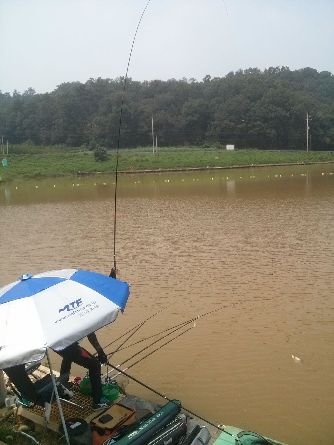 CAM02694.jpg
