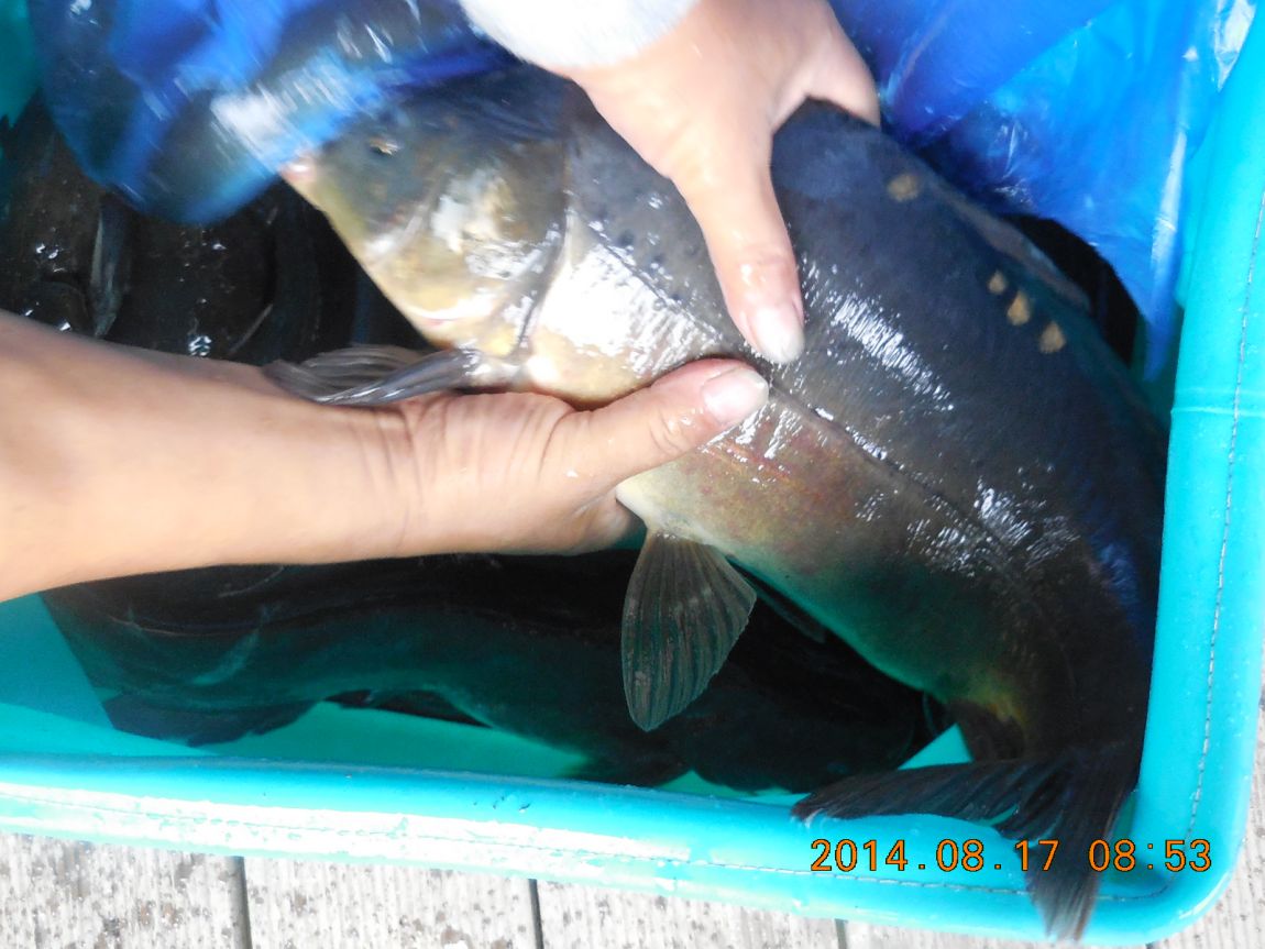 DSCN6196.JPG