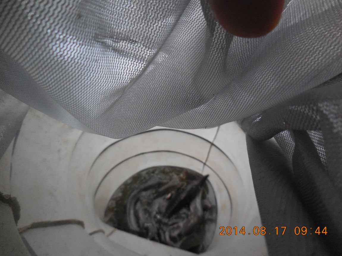 DSCN6210.JPG