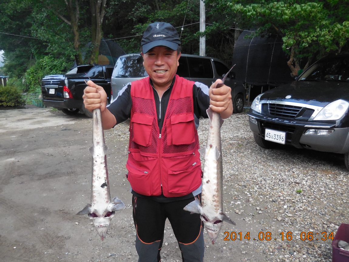 DSCN6041.JPG