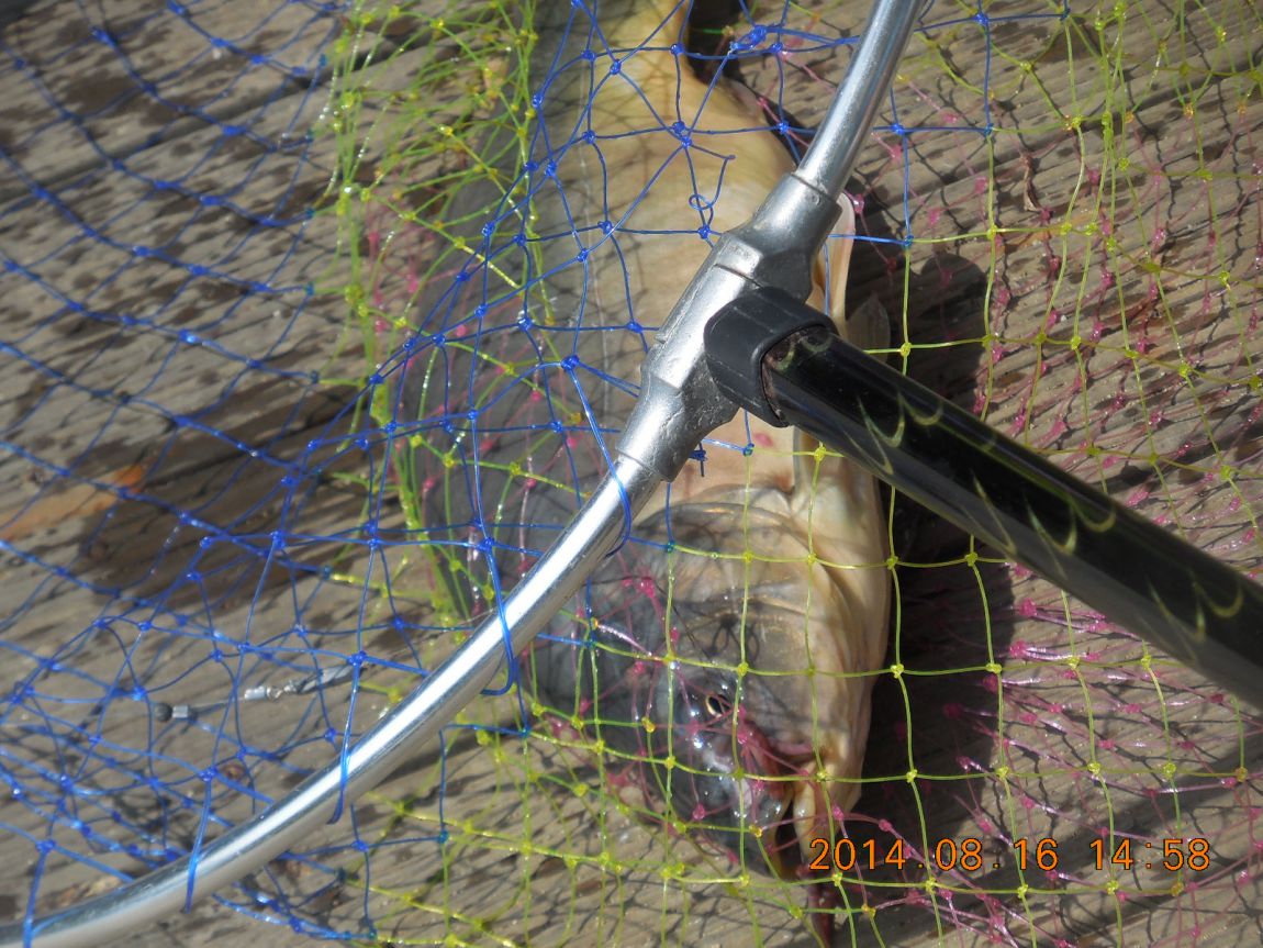 DSCN6117.JPG