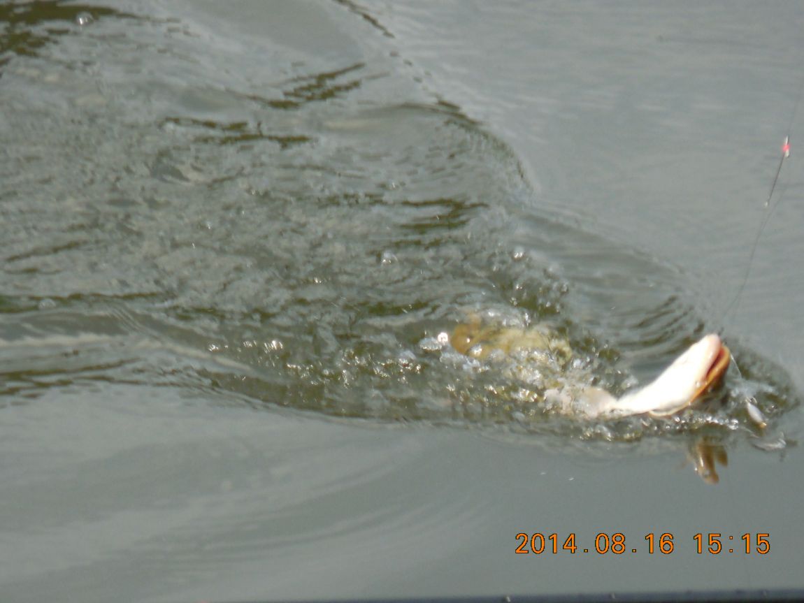 DSCN6139.JPG