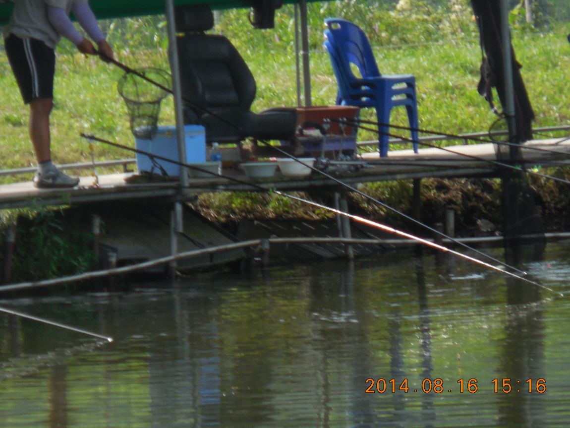 DSCN6142.JPG