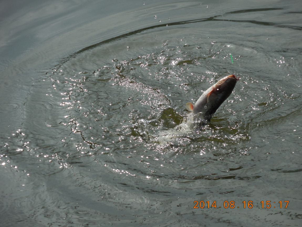 DSCN6146.JPG