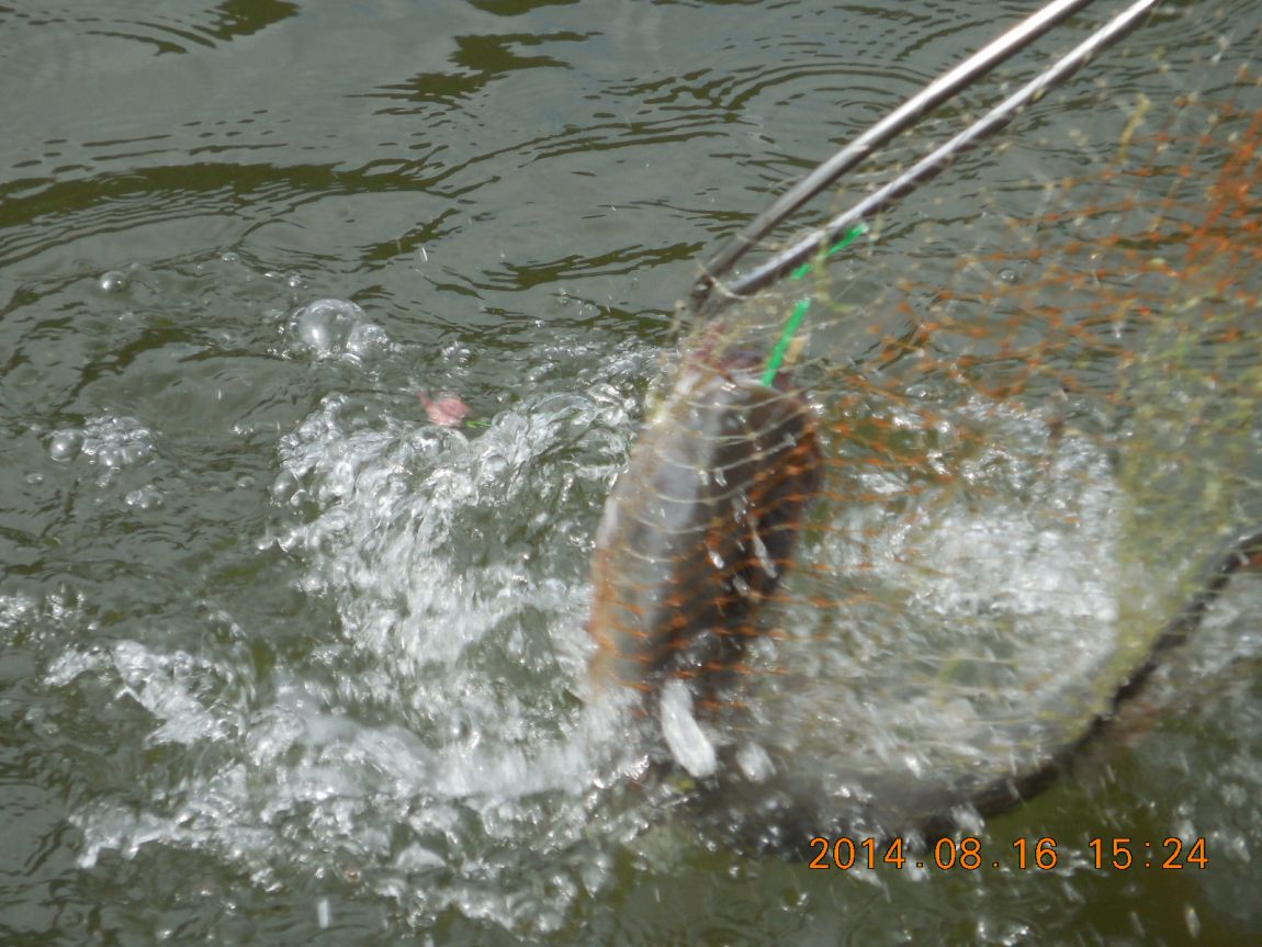 DSCN6167.JPG