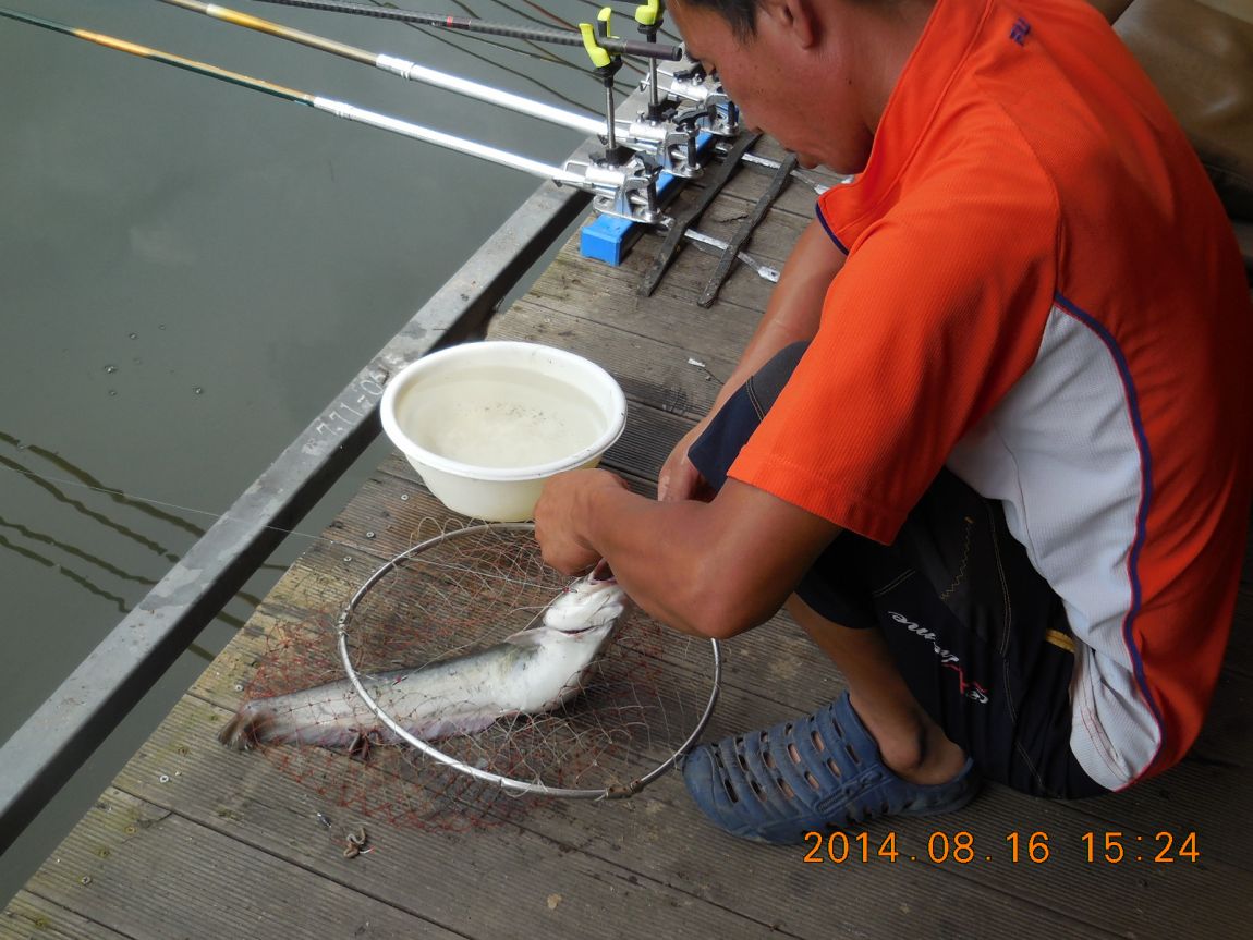 DSCN6171.JPG