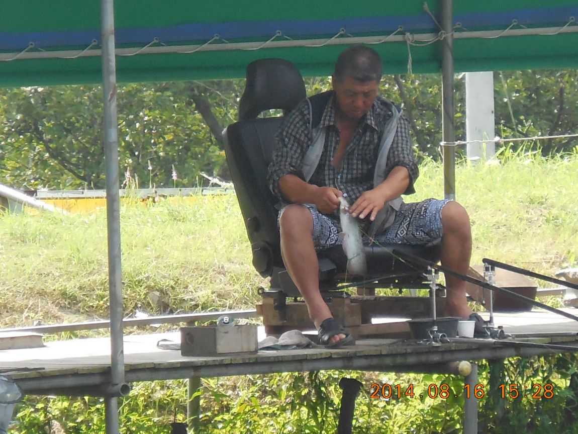 DSCN6181.JPG