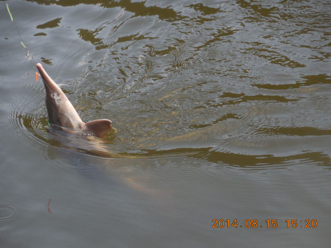 DSCN5855.JPG