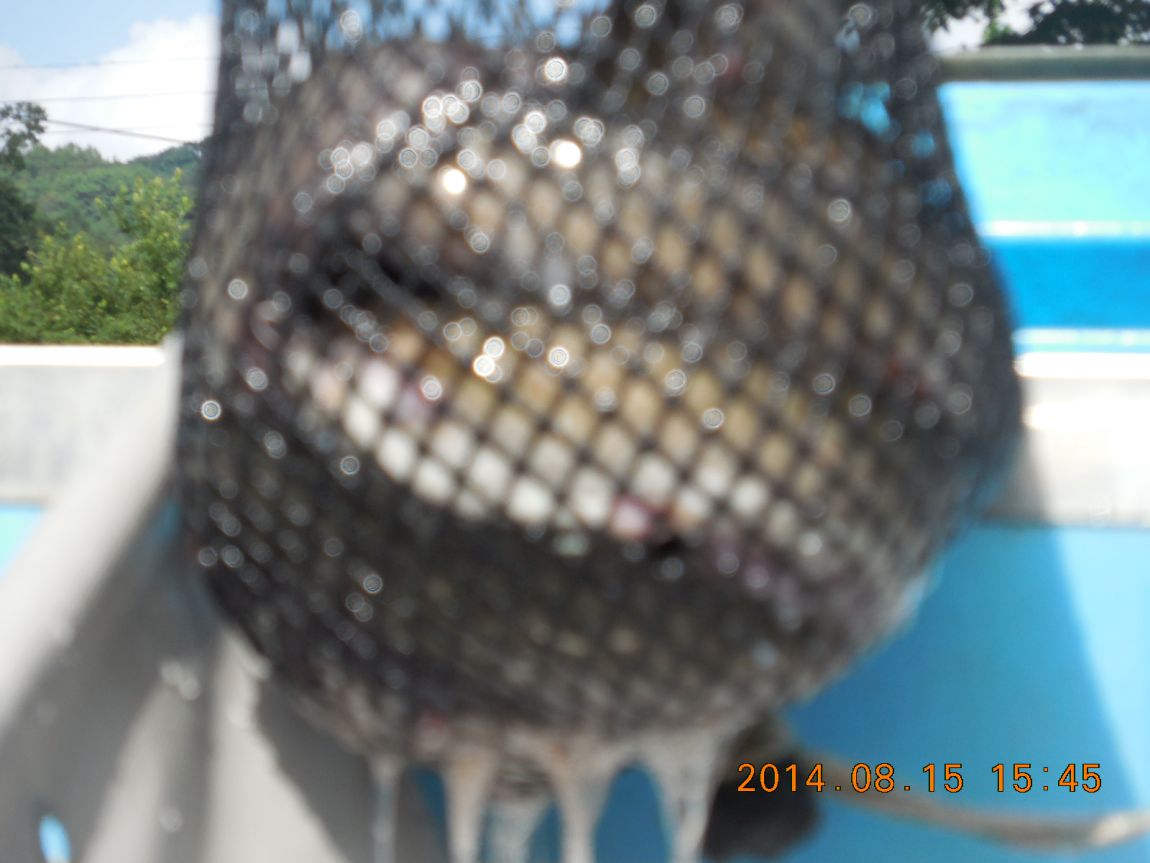 DSCN5864.JPG