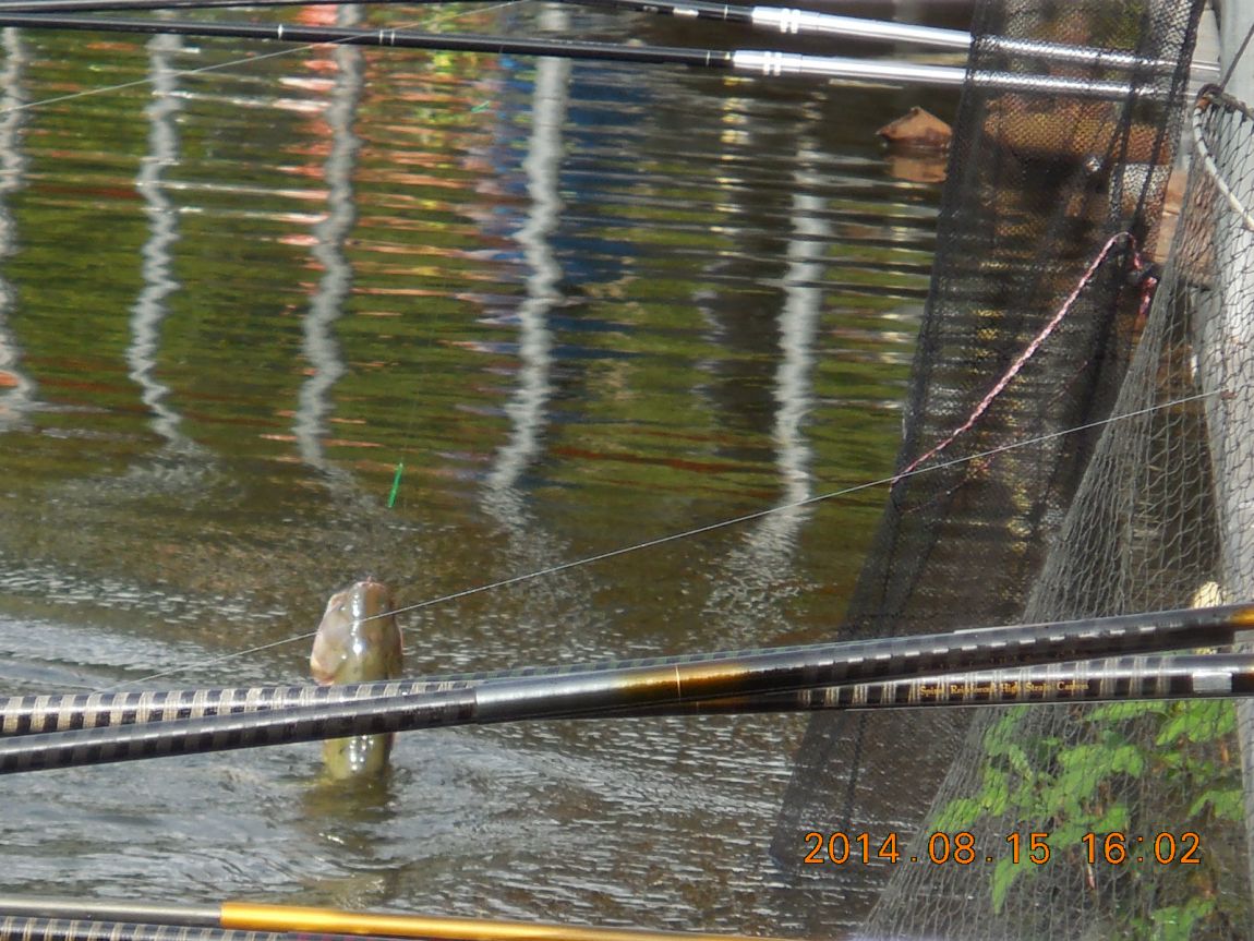 DSCN5902.JPG