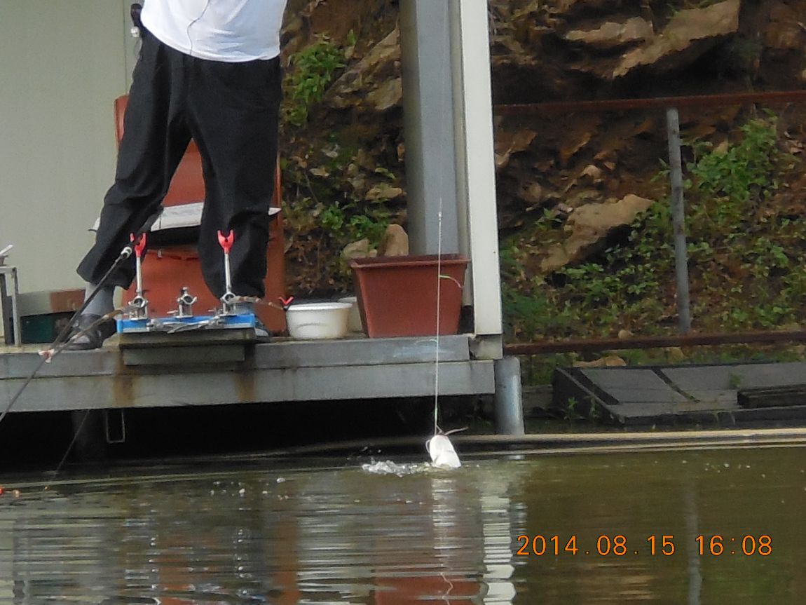 DSCN5918.JPG