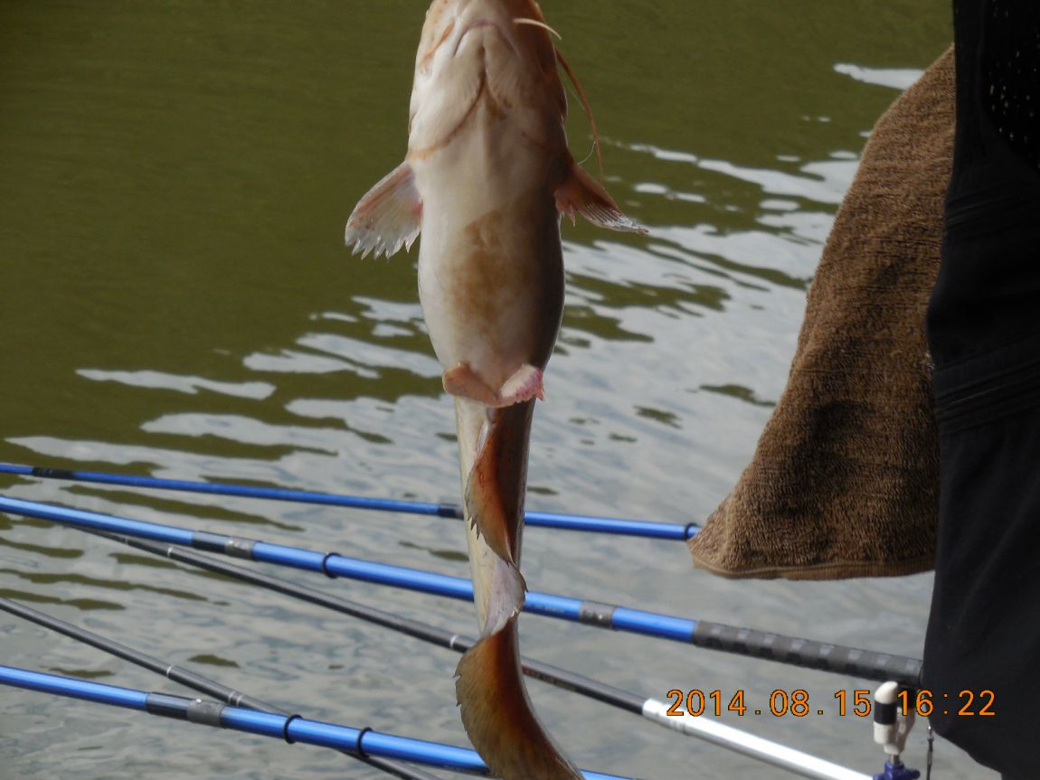 DSCN5960.JPG