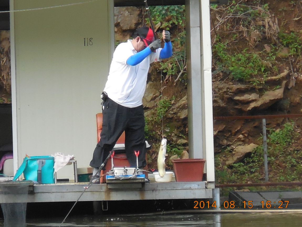 DSCN5964.JPG
