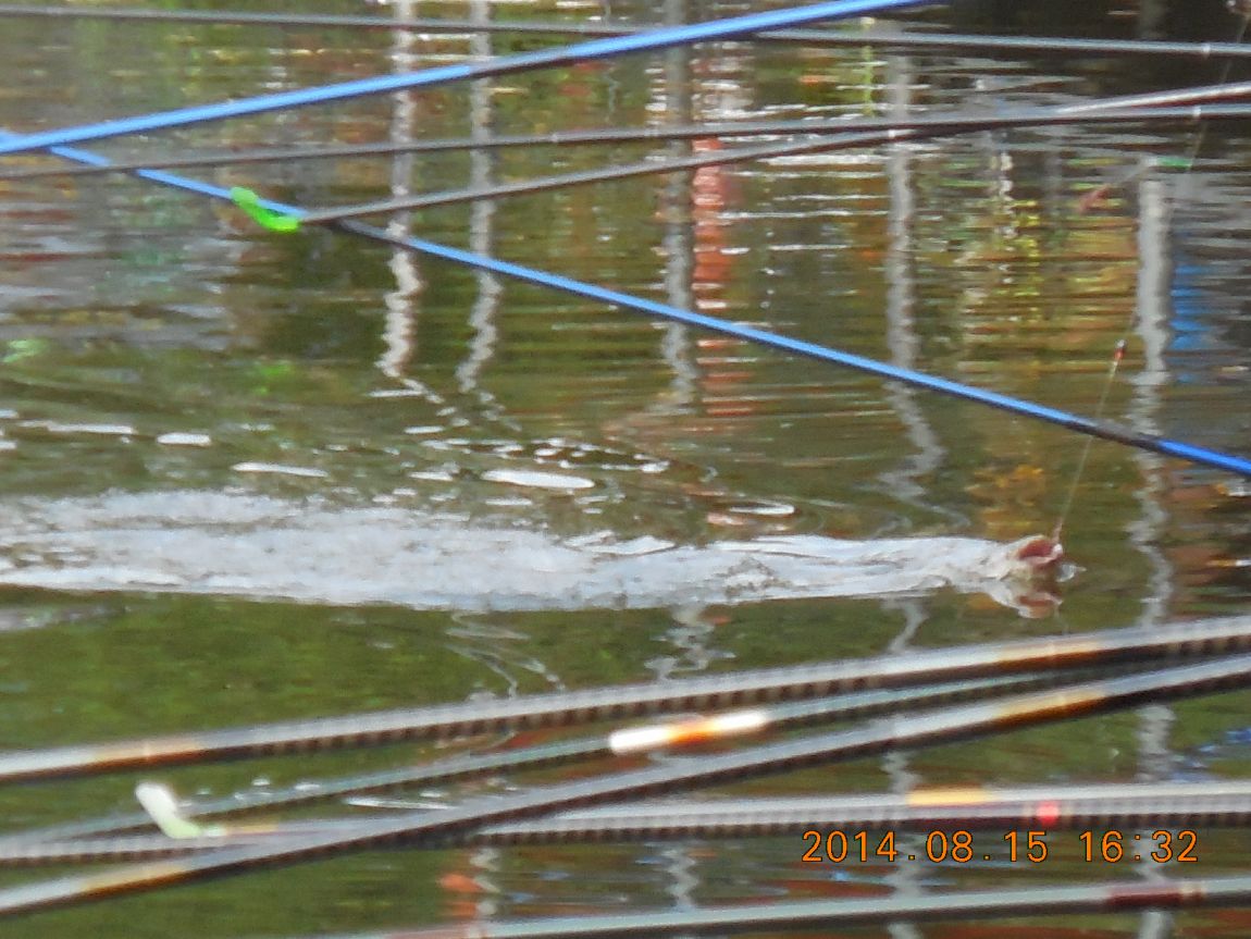 DSCN5977.JPG