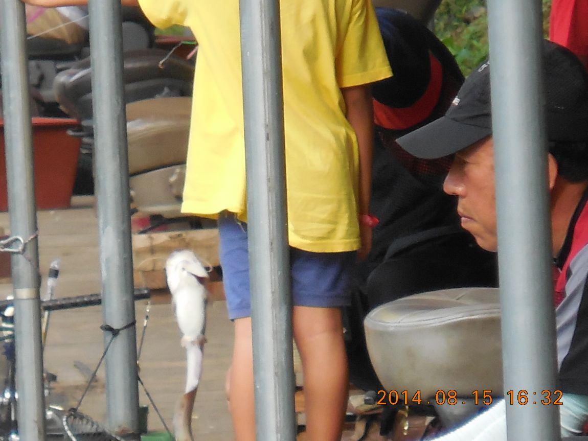 DSCN5982.JPG