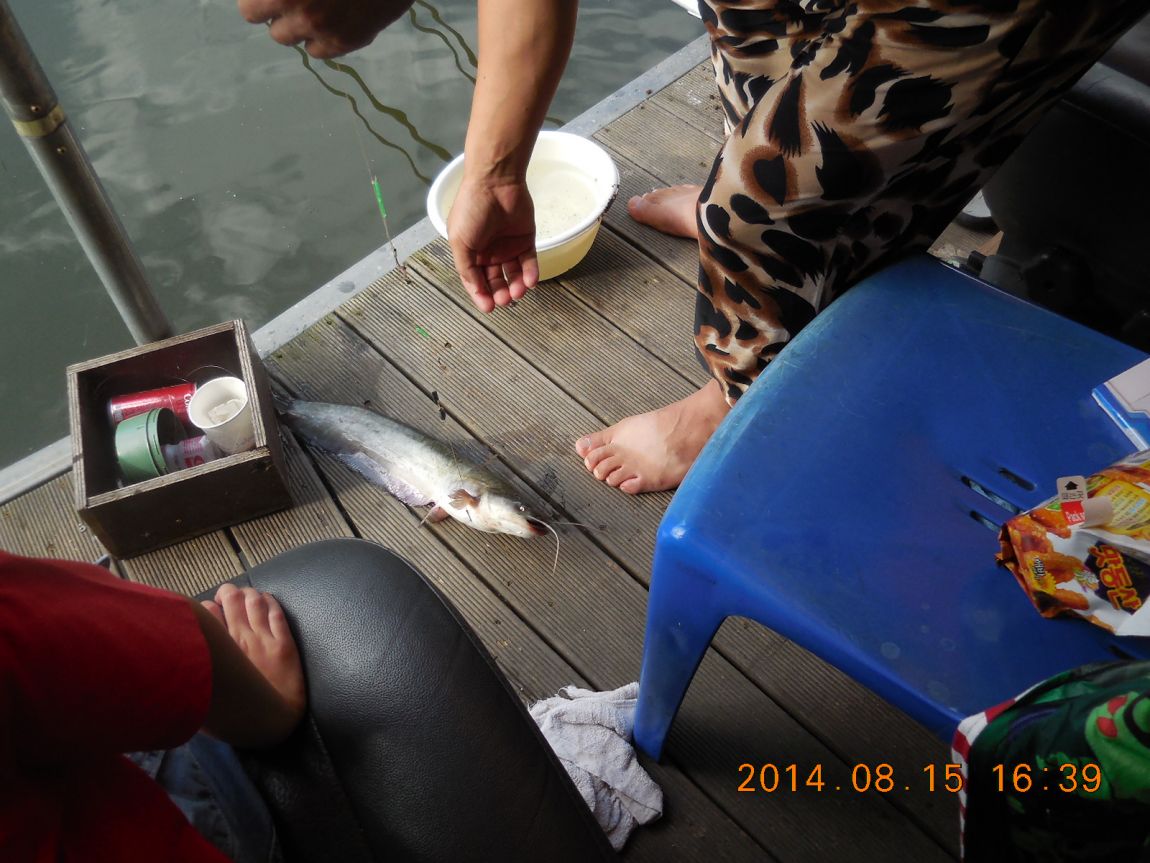 DSCN5998.JPG