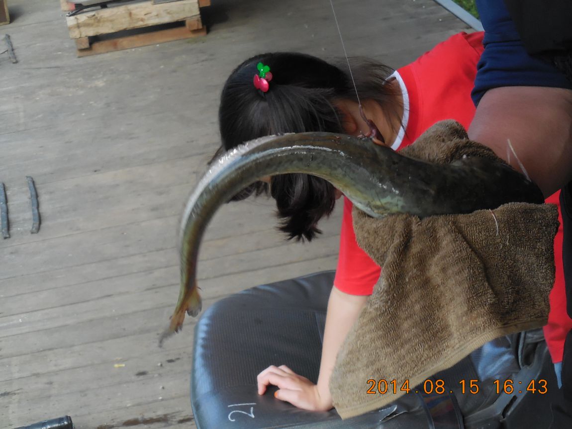 DSCN6005.JPG