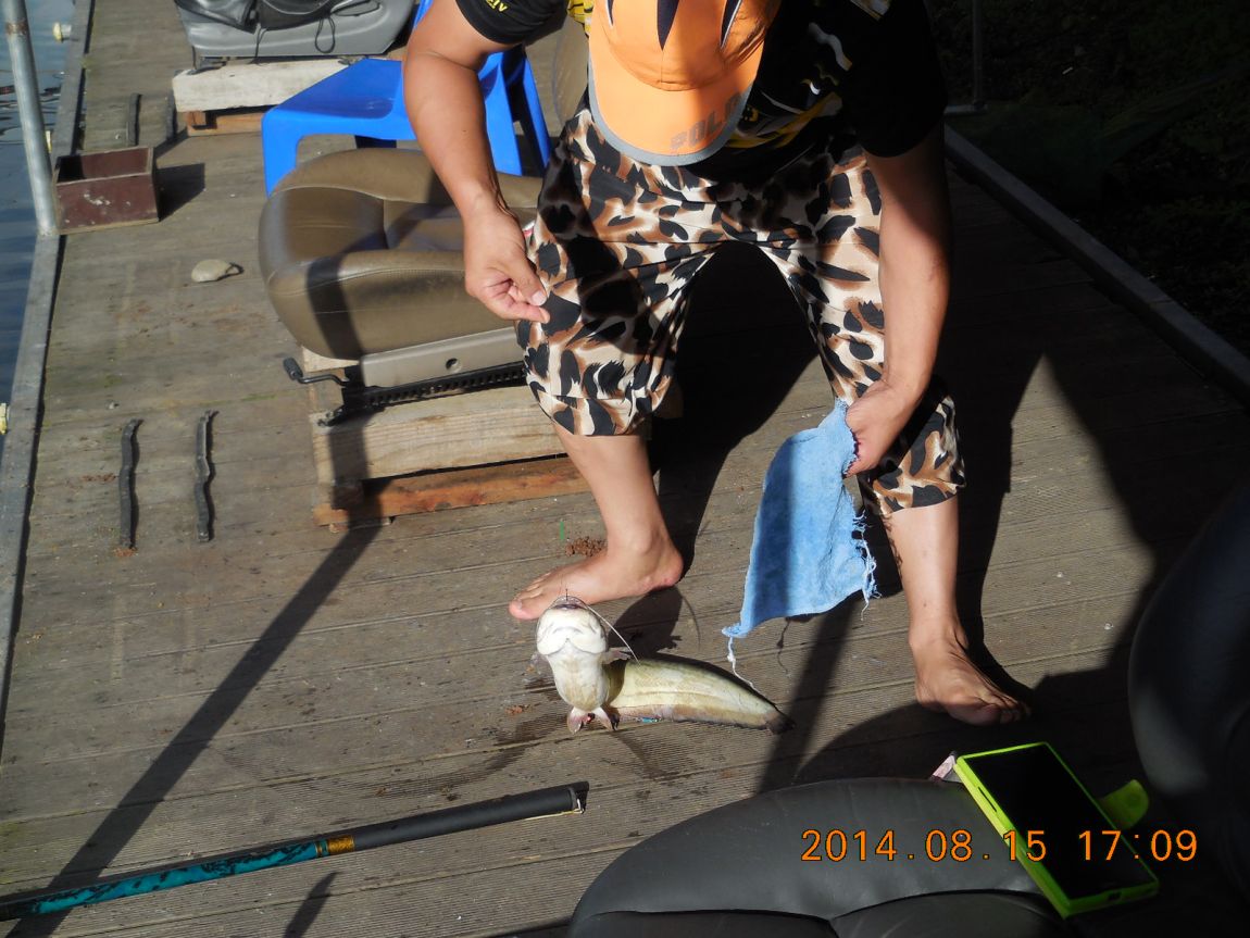 DSCN6023.JPG