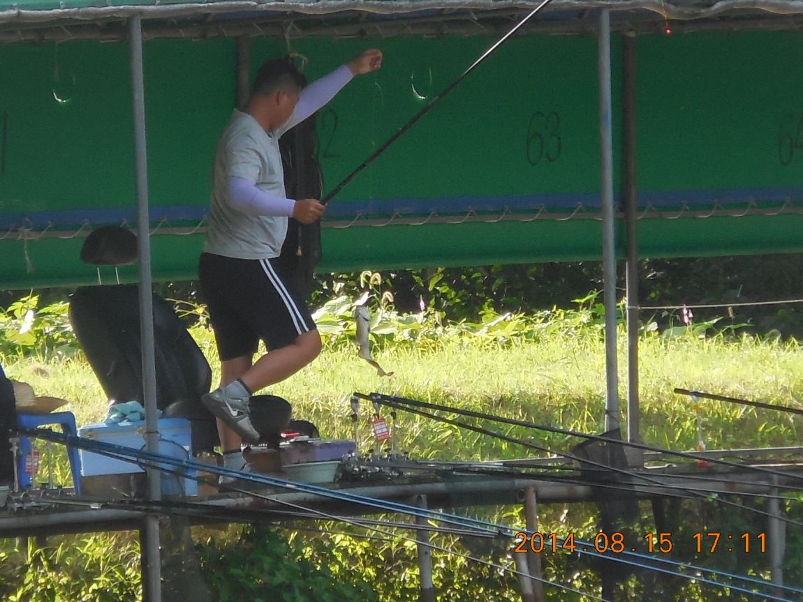 DSCN6034.JPG