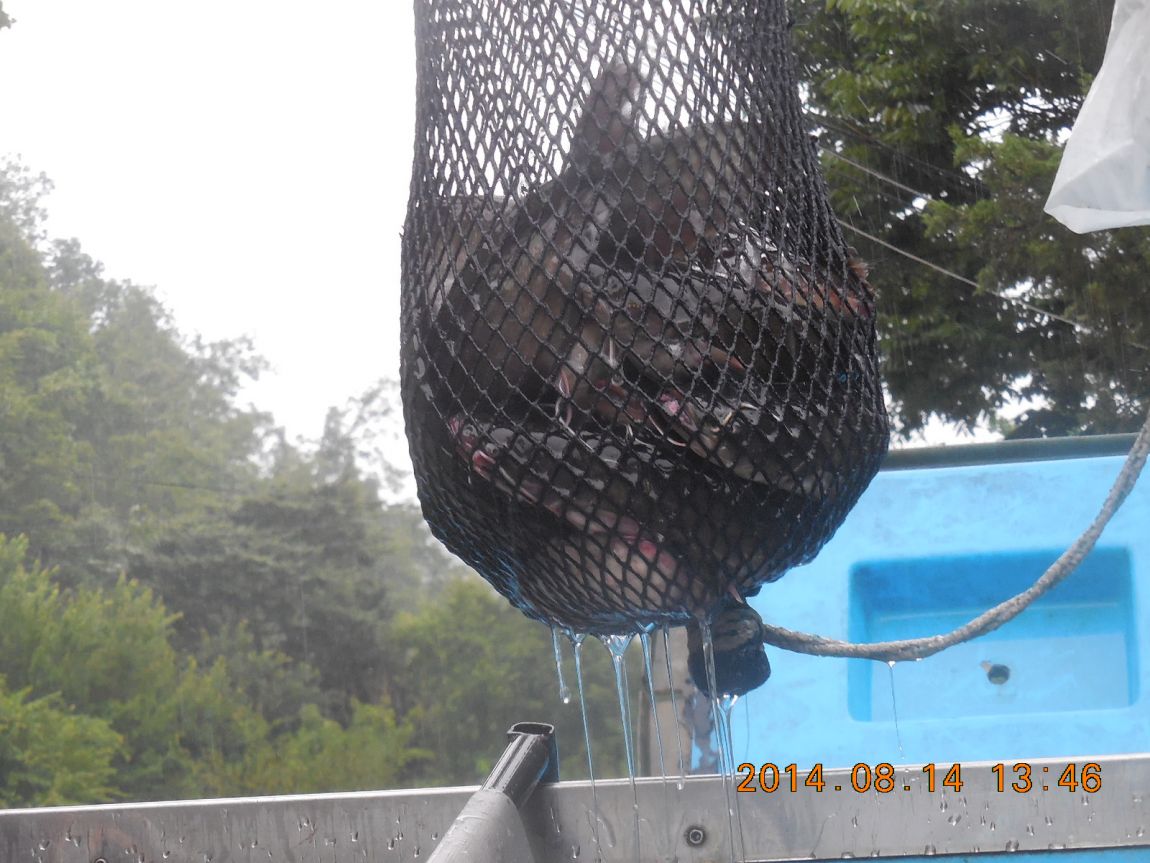 DSCN5802.JPG