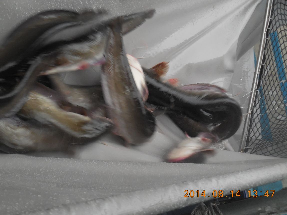 DSCN5811.JPG